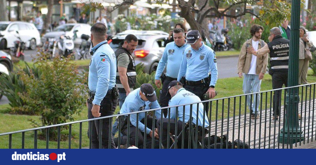 DNOTICIAS.PT